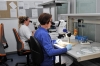 Krzesło laboratoryjne na ślizgach, BIMOS Neon 1, Gwarancja 10-lat 6.jpg